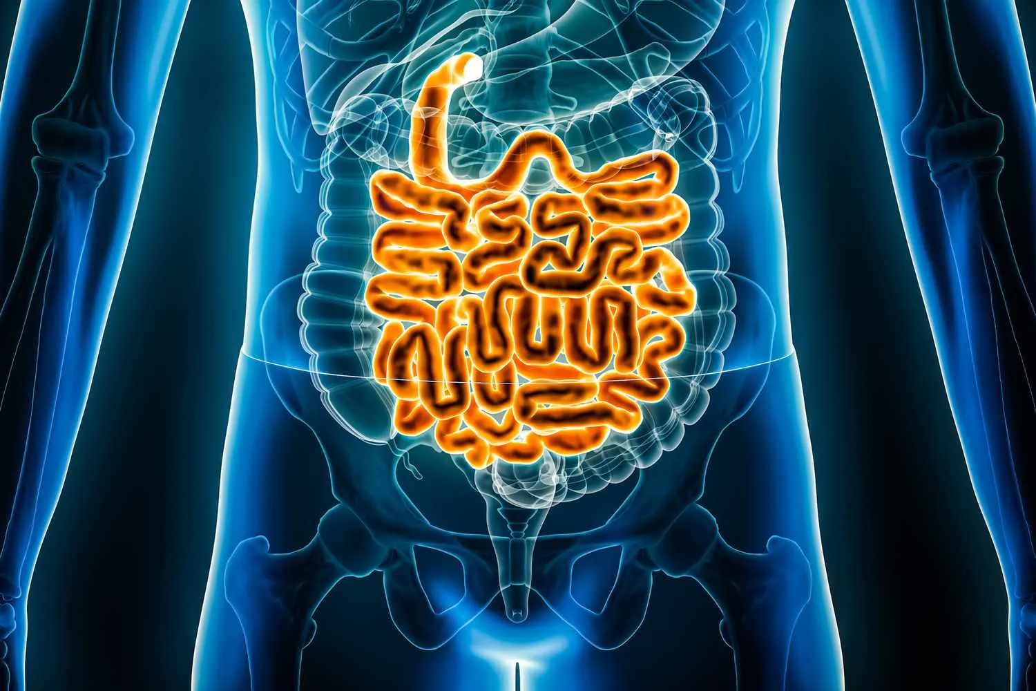 Alimentación consciente y control metabólico